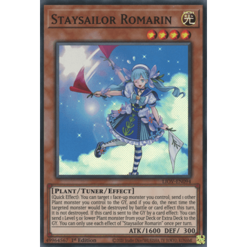 LIOV-EN094 Staysailor Romarin