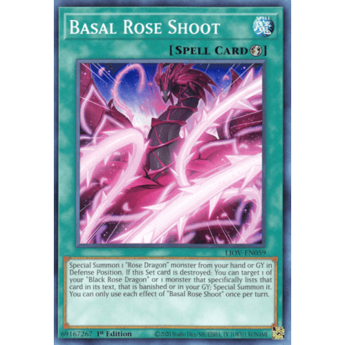 LIOV-EN059 Basal Rose Shoot