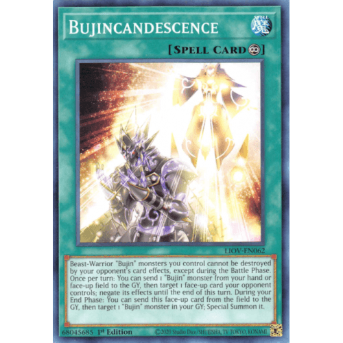 LIOV-EN062 Bujincandescence