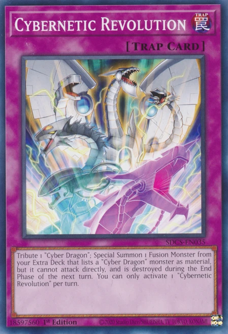 SDCS-EN035 Cybernetic Revolution