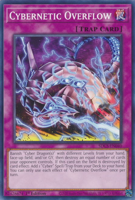 SDCS-EN040 Cybernetic Overflow