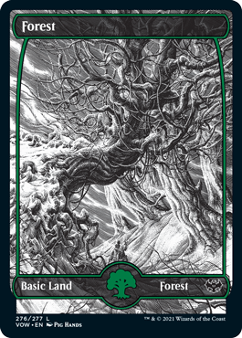 Forest (#276) (Extended Art)