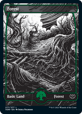 Forest (#277) (Extended Art)