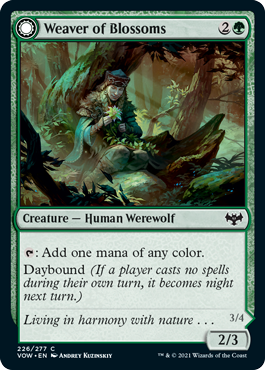 Weaver of Blossoms // Blossom-Clad Werewolf (foil)