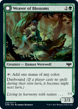 Weaver of Blossoms // Blossom-Clad Werewolf (foil)