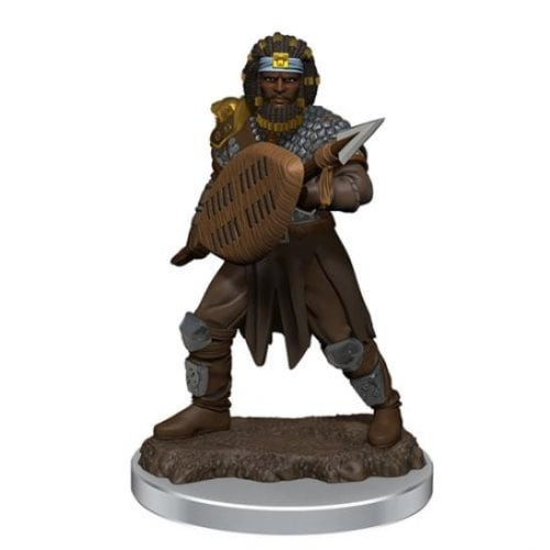 D&D Icons of the Realms Premium Figures: Male Human Fighter (Wave 7)