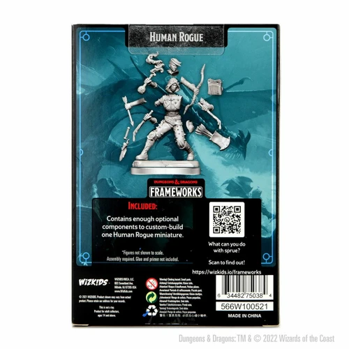 D&D Frameworks - Human Rogue Female