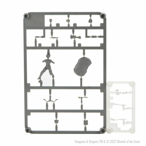 D&D Frameworks - Human Rogue Female