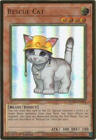 MGED-EN006 Rescue Cat