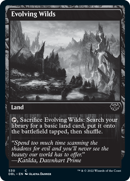Evolving Wilds (#530) (foil)