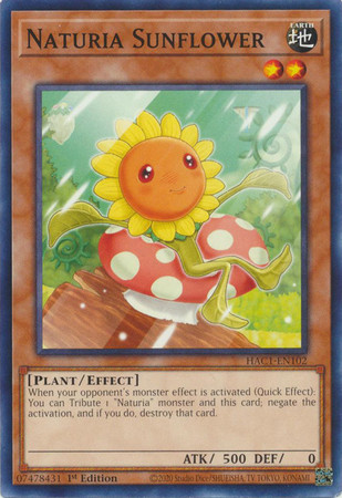 HAC1-EN102 Naturia Sunflower