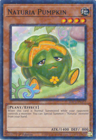 HAC1-EN117 Naturia Pumpkin (Duel Terminal Normal Parallel Rare)