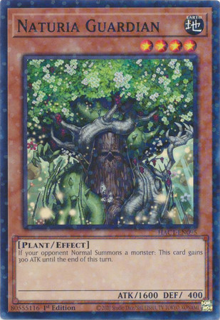 HAC1-EN095 Naturia Guardian (Duel Terminal Normal Parallel Rare)