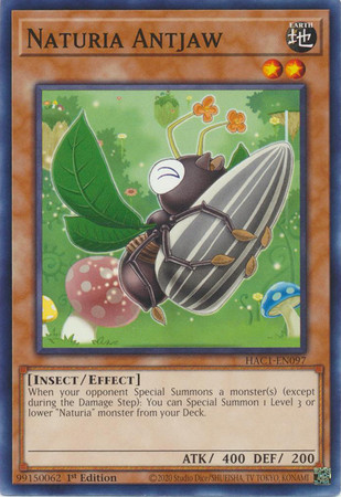 HAC1-EN097 Naturia Antjaw (Duel Terminal Normal Parallel Rare)