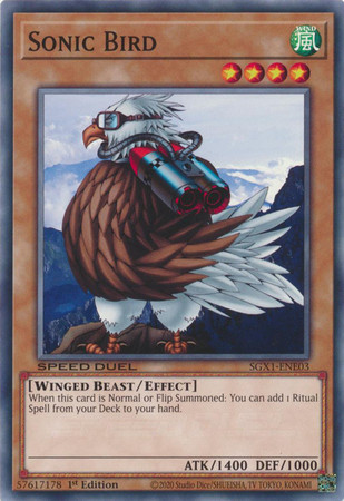 SGX1-ENE03 Sonic Bird