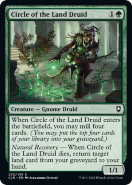 Circle of the Land Druid (foil)