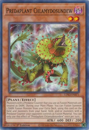 LDS3-EN071 Predaplant Chlamydosundew