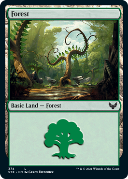 Basic Land Repack - 100 x Forest (Mint / Near Mint)