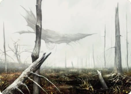 Swamp (#64) Art Card