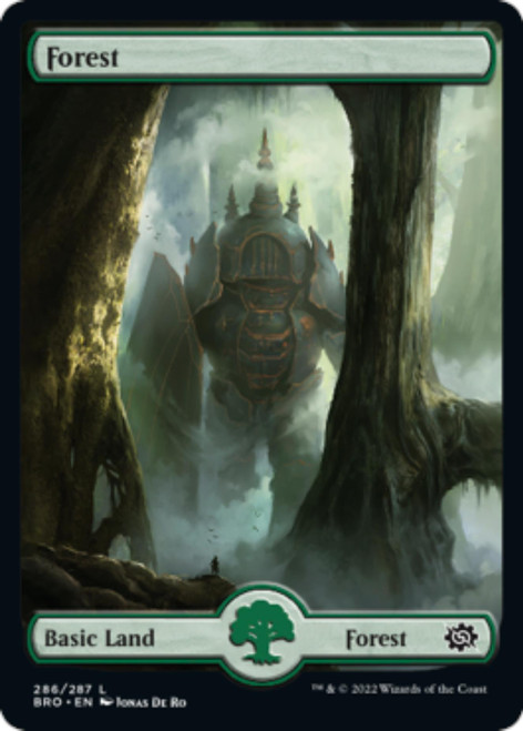 Forest #286 (Borderless Art)