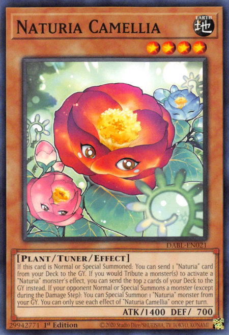 DABL-EN021 Naturia Camellia