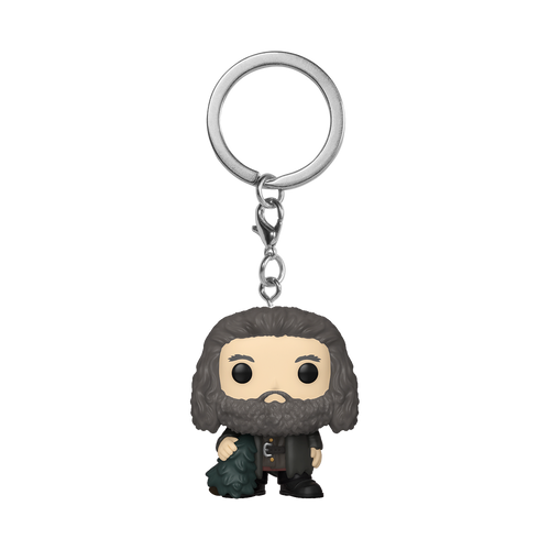 Rubeus Hagrid with the Leaky Cauldron Diagon Alley Wizarding World Funko Pop  Town 141 Special Edition Exclusive