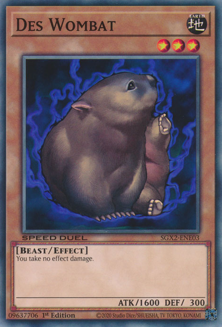 SGX2-ENE03 Des Wombat