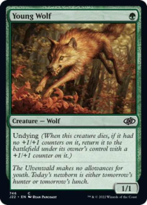 Young Wolf