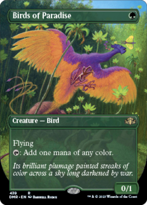 Birds of Paradise (Borderless Art)