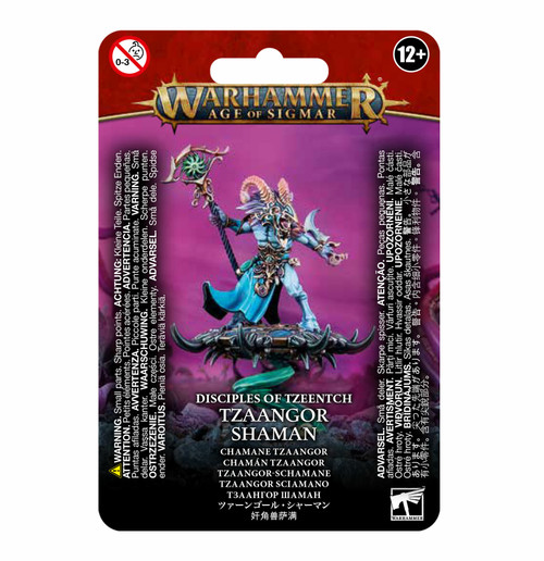 Warhammer Age of Sigmar - Disciples of Tzeentch: Tzaangor Shaman
