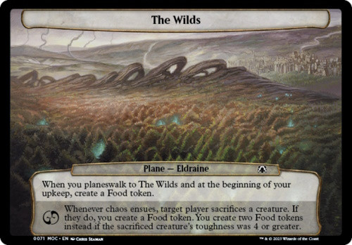Plane - The Wilds | March of the Machine Commander