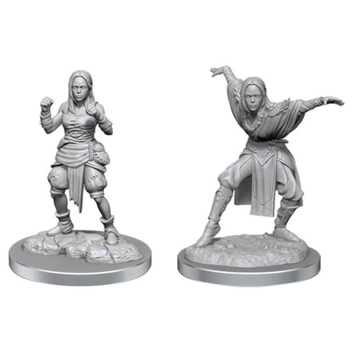 Pathfinder Battles Deep Cuts - Half-Elf Female Monk (90652)