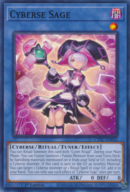 CYAC-EN033 Cyberse Sage
