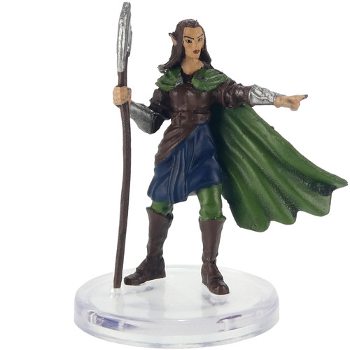 Dragonlance: Shadow of the Dragon Queen - Qualnesti Elf (#6)