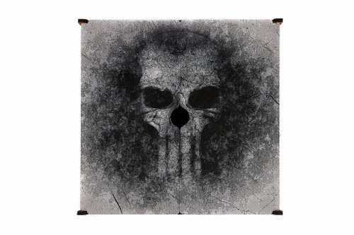 Card Storage Case Old Skull