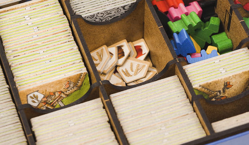 Box Insert – Carcassonne