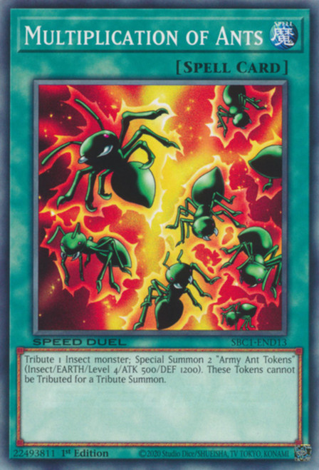 SBC1-END13 Multiplication of Ants