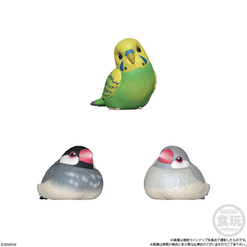 Shokugan: Tenori Friends Wave 10 (Birds) Blind Box