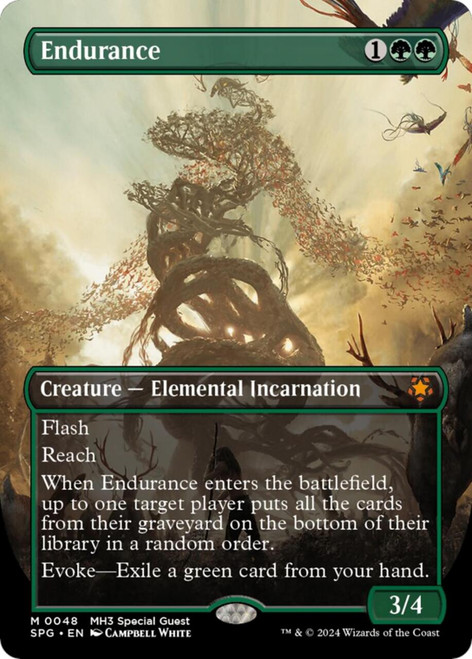 Endurance (Borderless Foil)