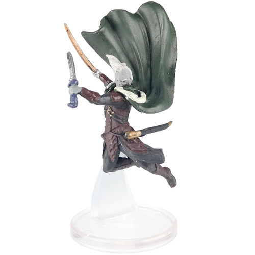 Companions of the Hall - Drizzt Do'Urden