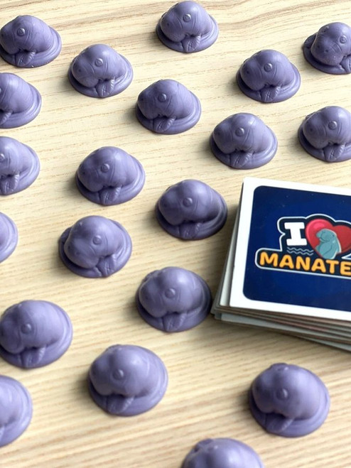 I Heart Manatees