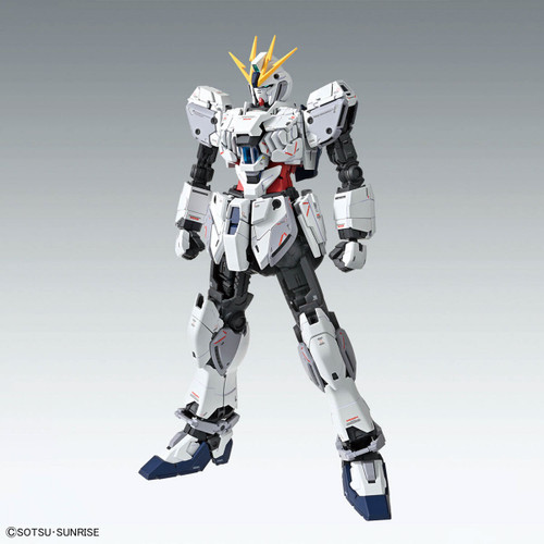 MG 1/100 Narrative Gundam C-Packs Ver.Ka