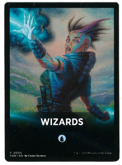 Wizards (Front Summary Card)
