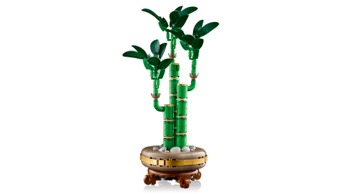 Botanicals Lucky Bamboo Faux Plant Set 10344