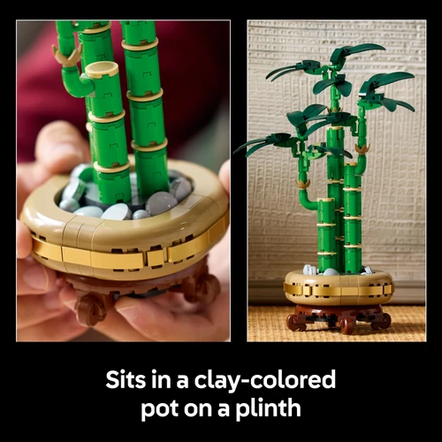 Botanicals Lucky Bamboo Faux Plant Set 10344