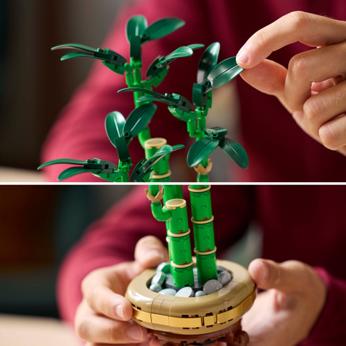 Botanicals Lucky Bamboo Faux Plant Set 10344