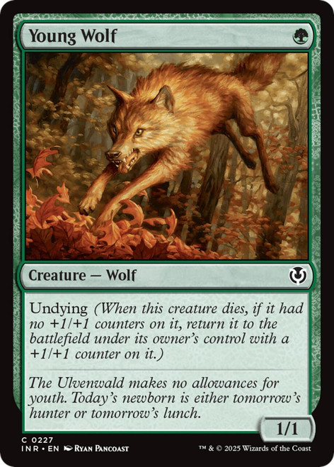 Young Wolf (Foil)