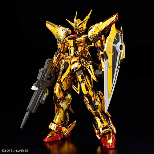 RG 1/144 Akatsuki Gundam Oowashi (Equipped with Eagle)