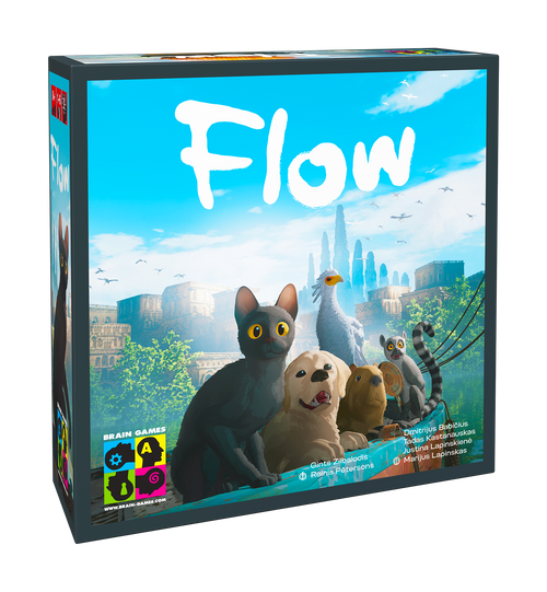 Flow