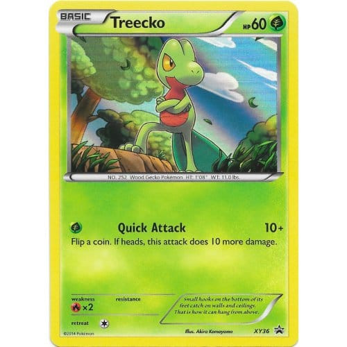X&Y Promo XY36 Treecko